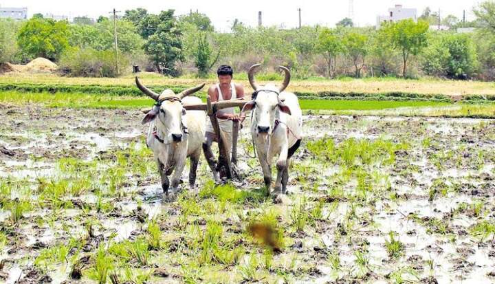 రైతులకోసం తెలంగాణ సర్కార్ కొత్త సేవలు ప్రారంభం..!